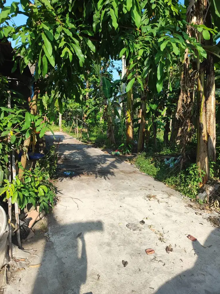 Dijual tanah 80m strategis datar ganjuran bantul
