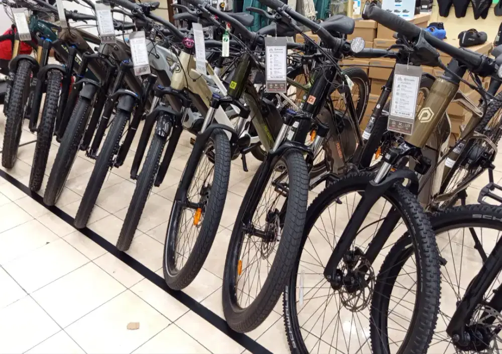 E-Bikes Polygon
