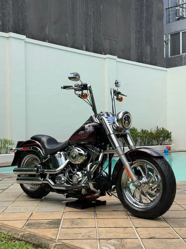 Fatboy 2007 ,roadking,heritage softail,sportster