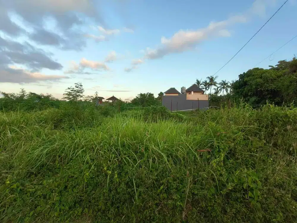 Tanah di Perumahan Pering, Blahbatuh, Gianyar 100 Meter Dari Bay Pas Ib Mantra ke Utara
