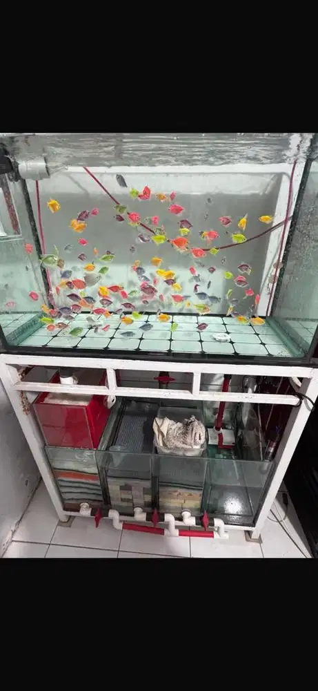 sum filter aquarium 40x50x80
