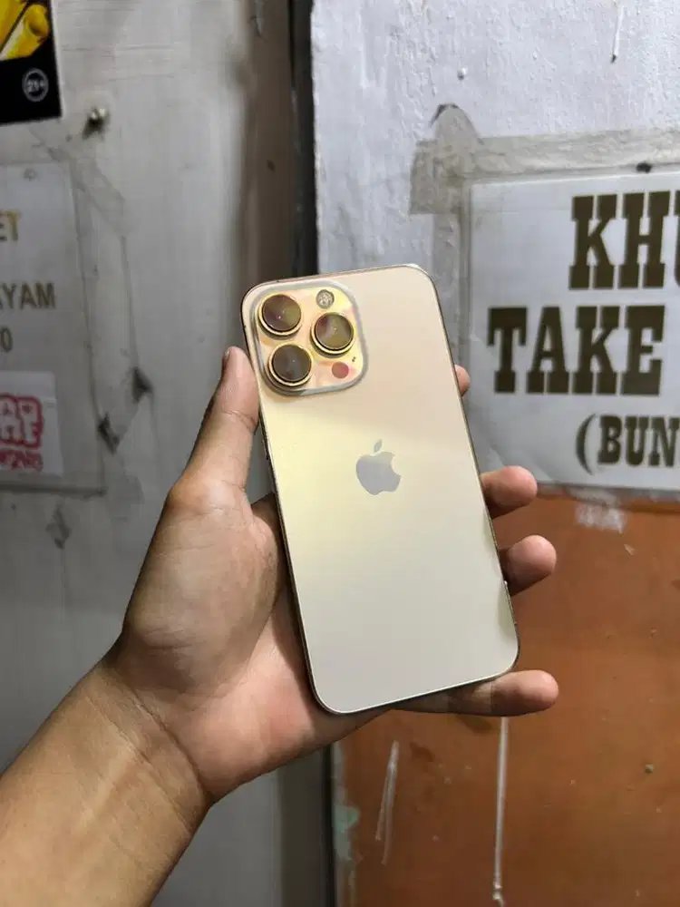 iPhone 13 Pro 256Gb All Operator