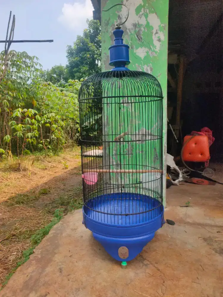 Kandang lb ebod murah