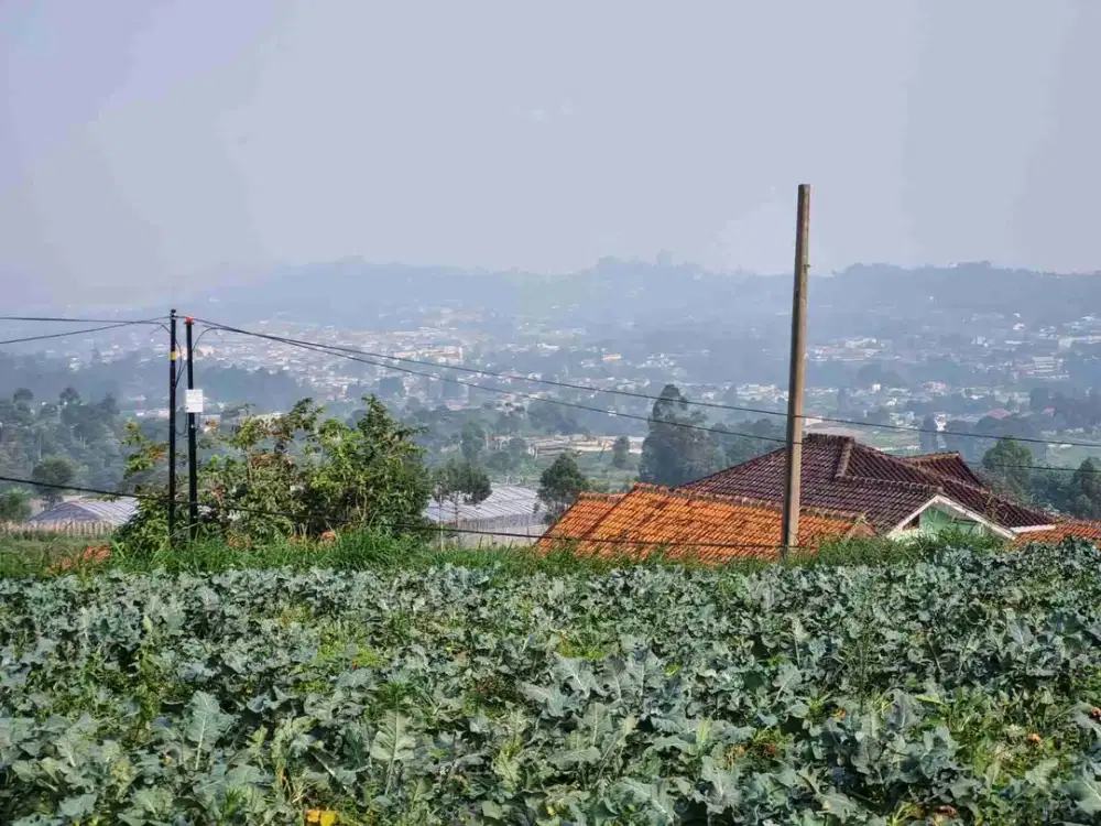tanah kavling di jual lembang asri