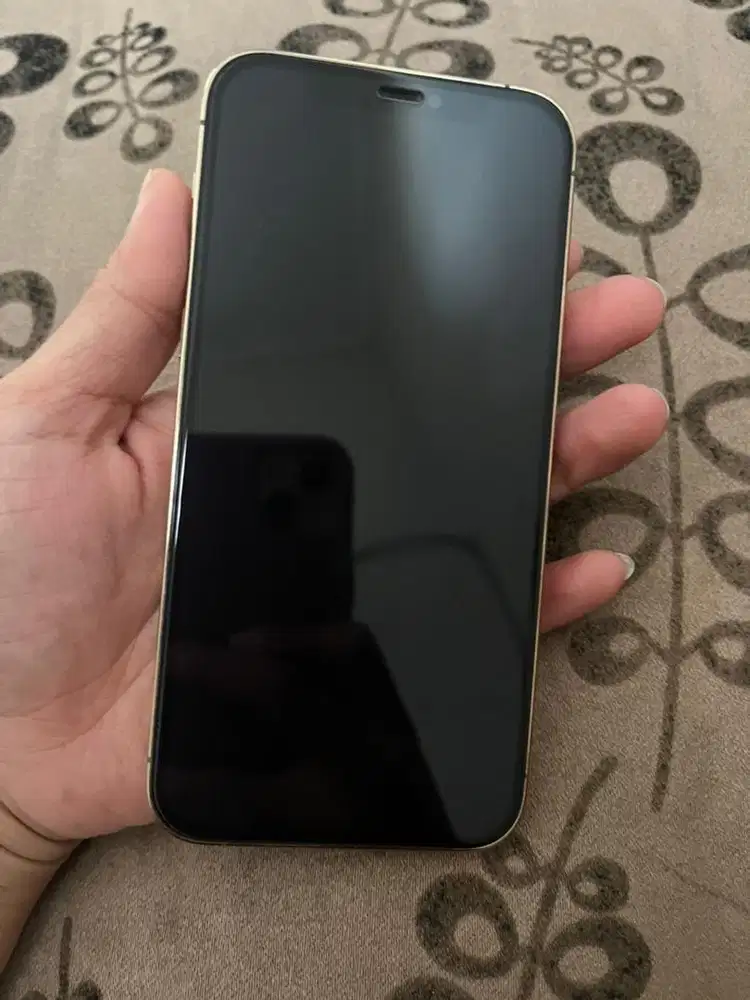 Iphone 12 Pro 128G Ex IBOX