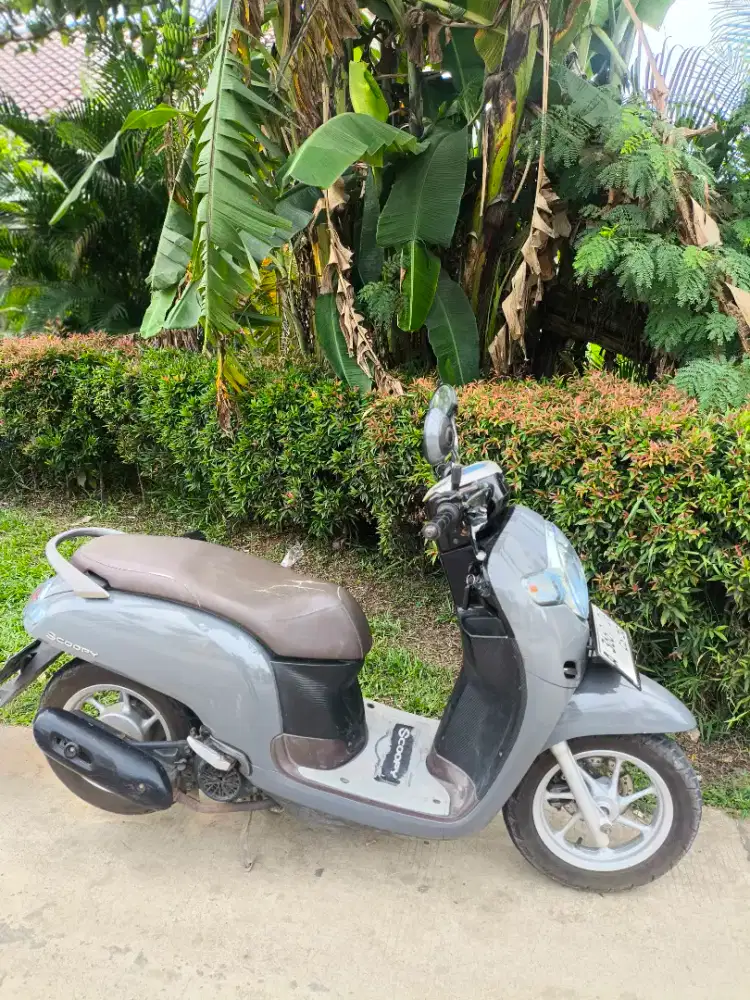 scoopy donat pajak hidup