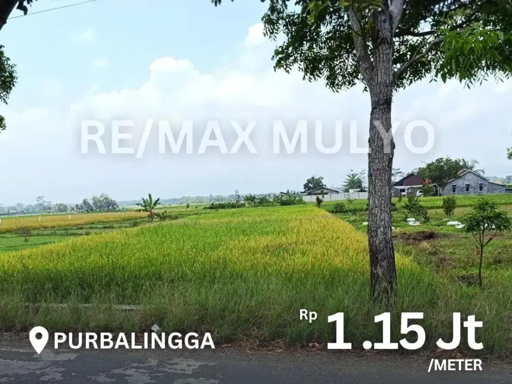 Tanah Persawahan 882 m2 Dijual Lokasi Purbalingga