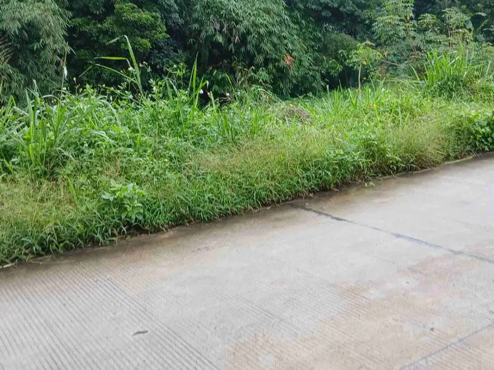 Tanah di Bogor Jual Butuh