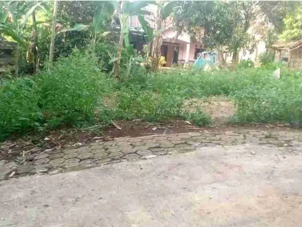 TANAH DIJUAL BUTUH DAERAH BOGOR