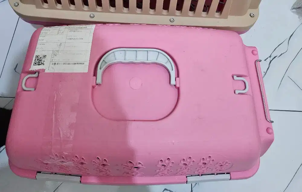 Pet cargo kucing