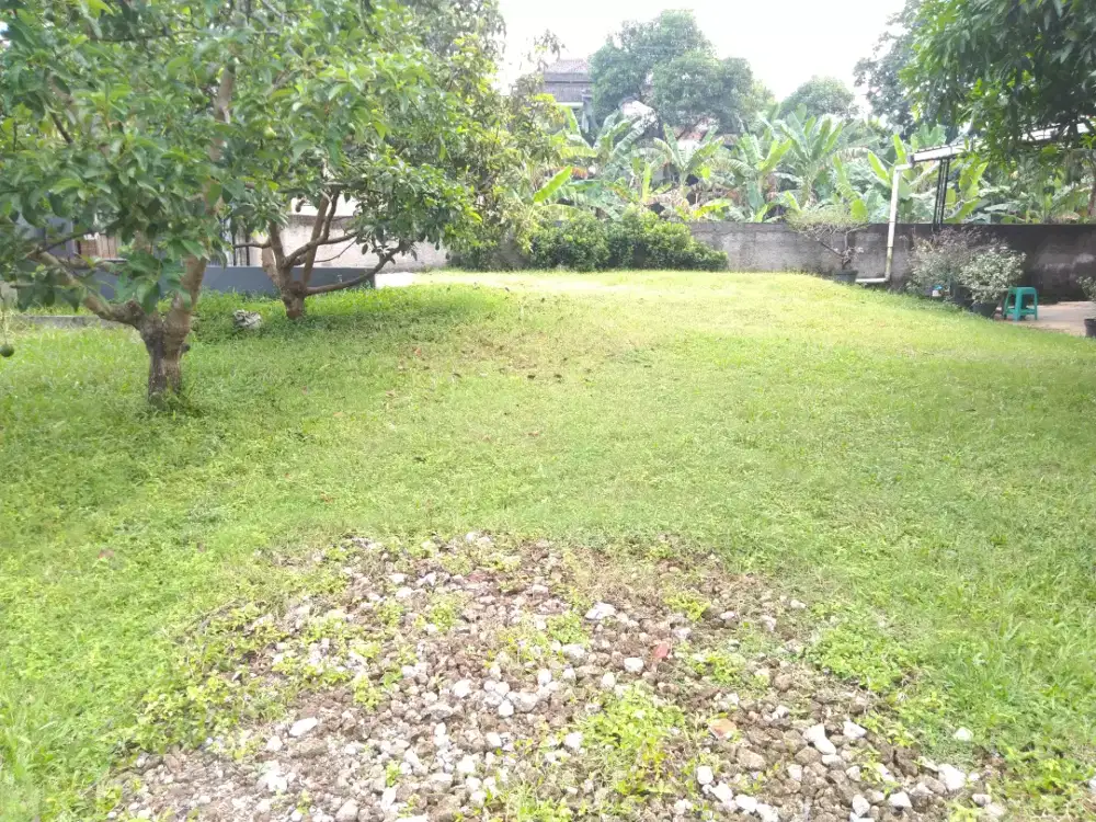 Disewakan Tanah, Cocok untuk Cafe, Lesehan Atau Usaha Apa Saja