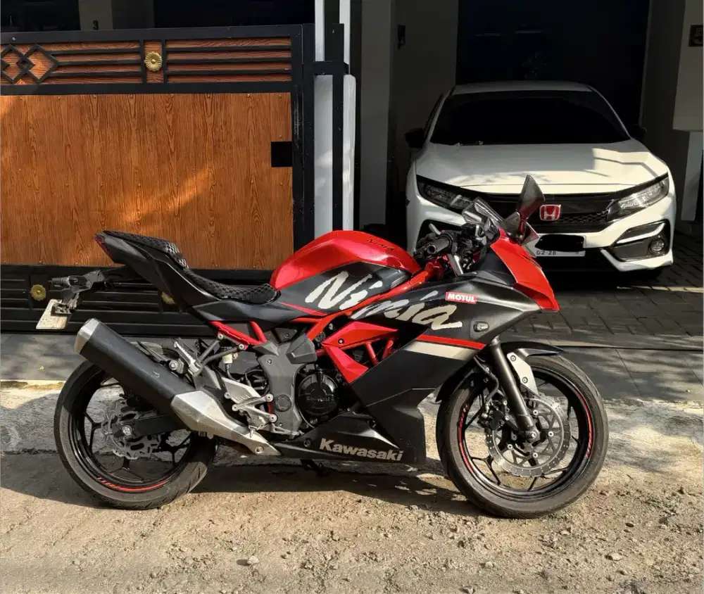 Ninja 250 sl 2019 red
