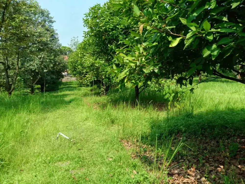 Dijual Cepat Tanah Kavling Industri Murah Tiga Raksa Siap Bangun