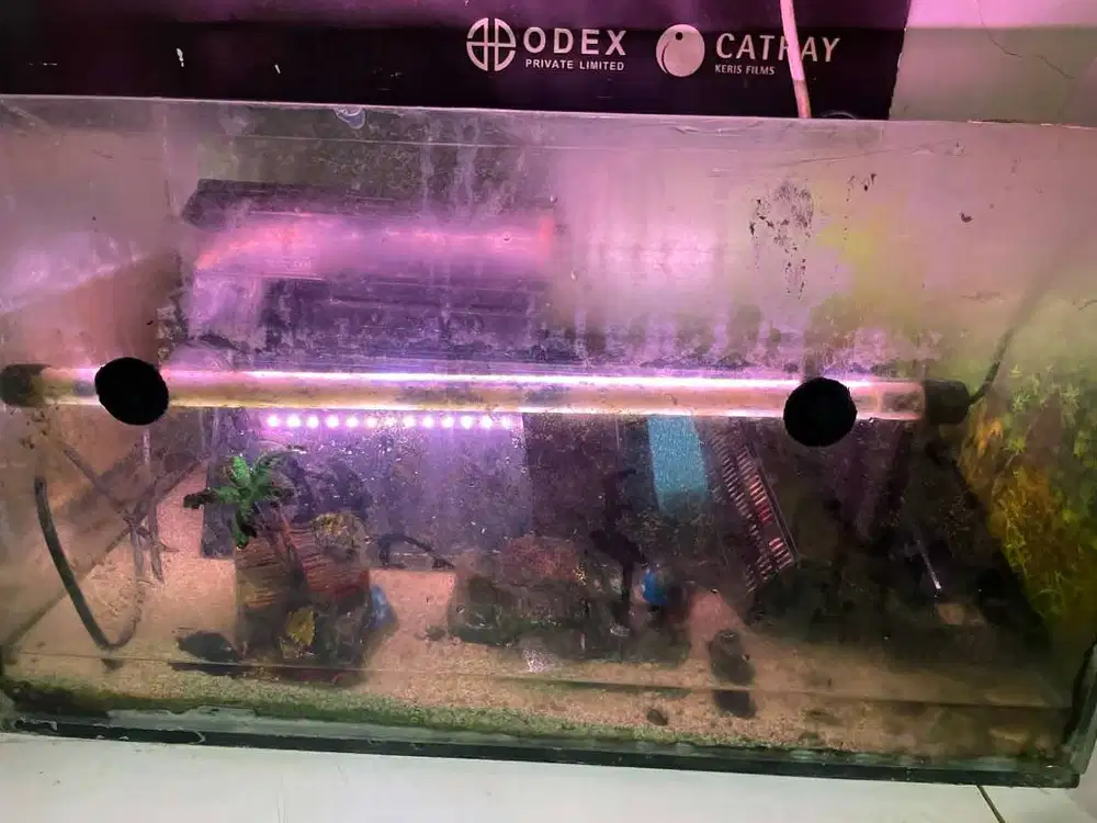 Aquarium Set 60cm X 30 cm (Aquarium, Pompa Filte, Aksesoris, LampuLED)
