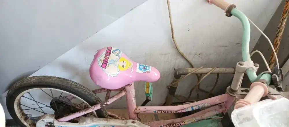 Sepeda anak kecil