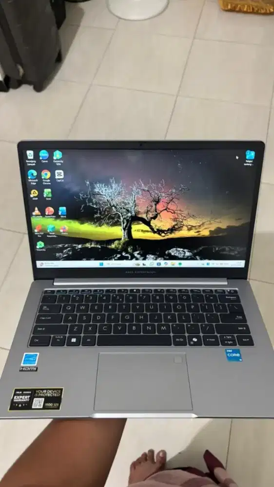 Asus expertbook