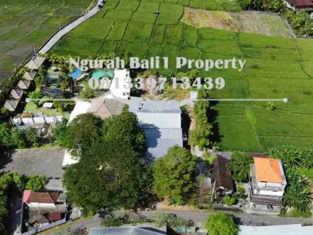 Disewakan Tanah Murah Luas  21,60 Are View Sawah Kawasan Villa di Ubud