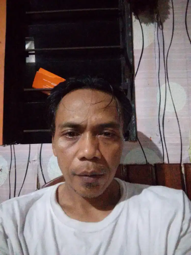 cari lowongan kerja supir