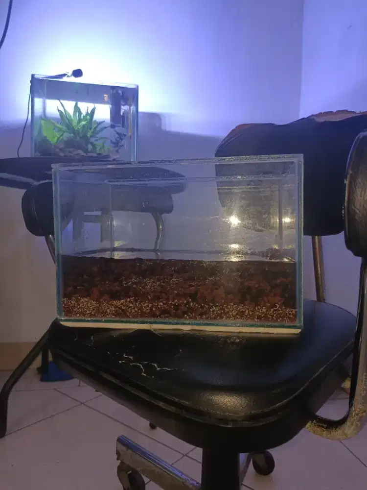 akuarium aquarium