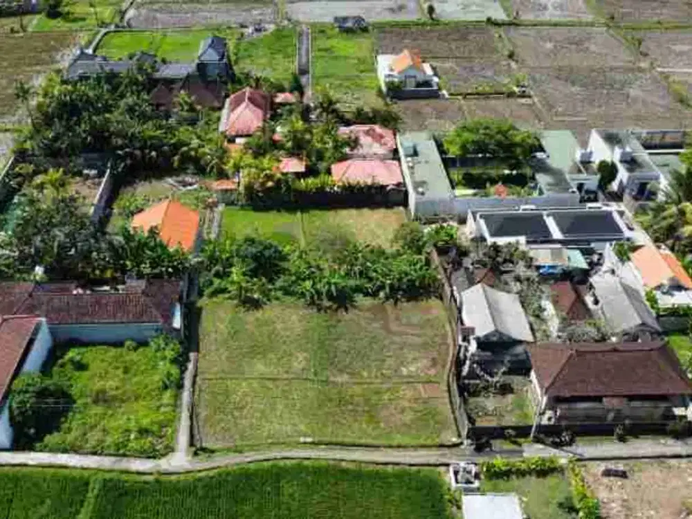 Disewakan Tanah Murah Luas 13  Are Kawasan Villa di Ubud