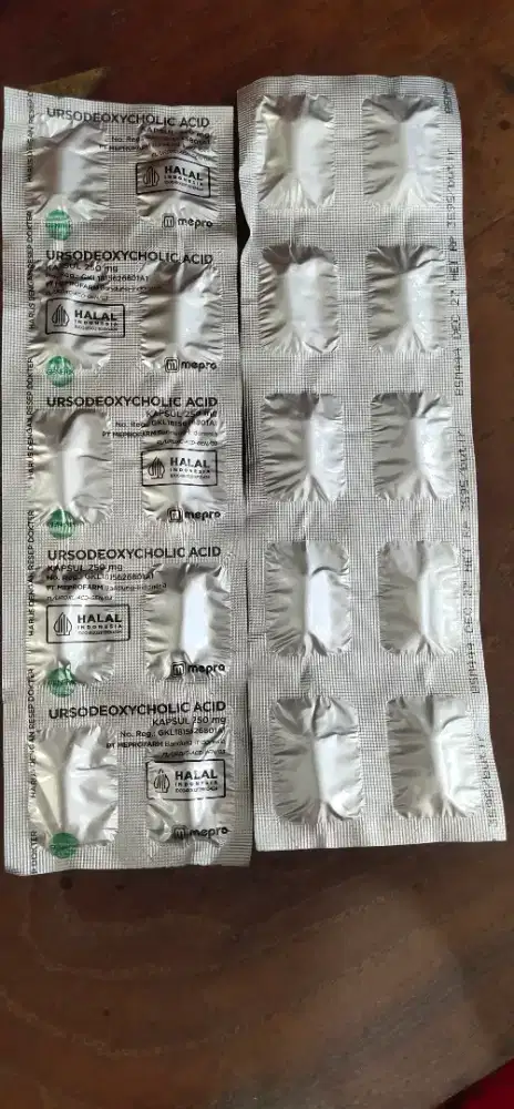 Obat ursodeoxycholic acid