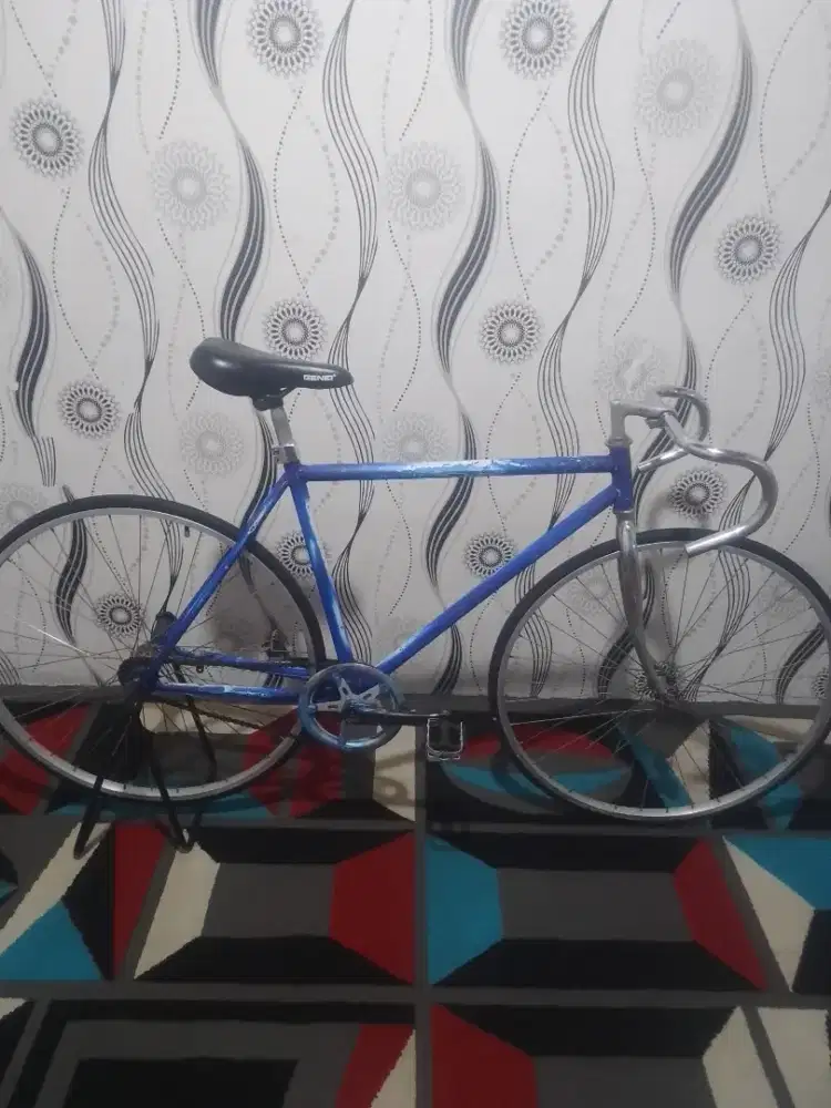 Fixie klasic size 48