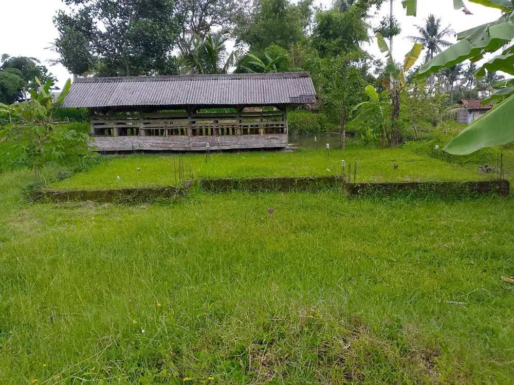 Jual Tanah SHM Murah di Singaparna Tasikmalaya – Luas 528 m²