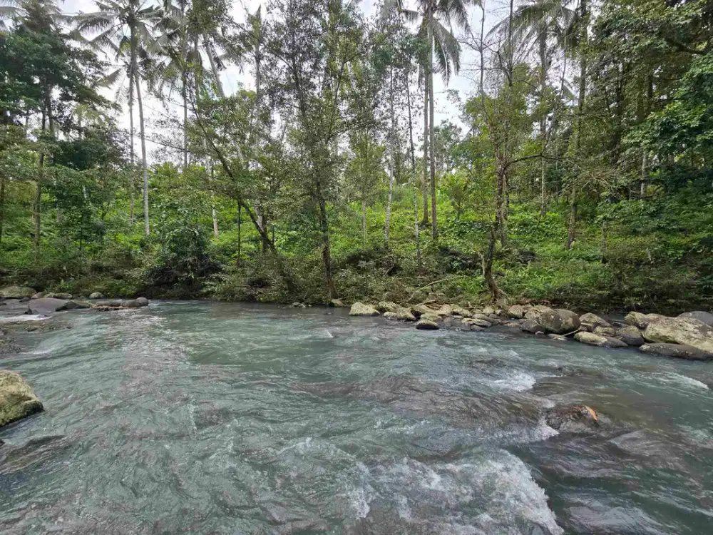 Dijual tanah dengan air terjun dan sungai bebatuan di bali