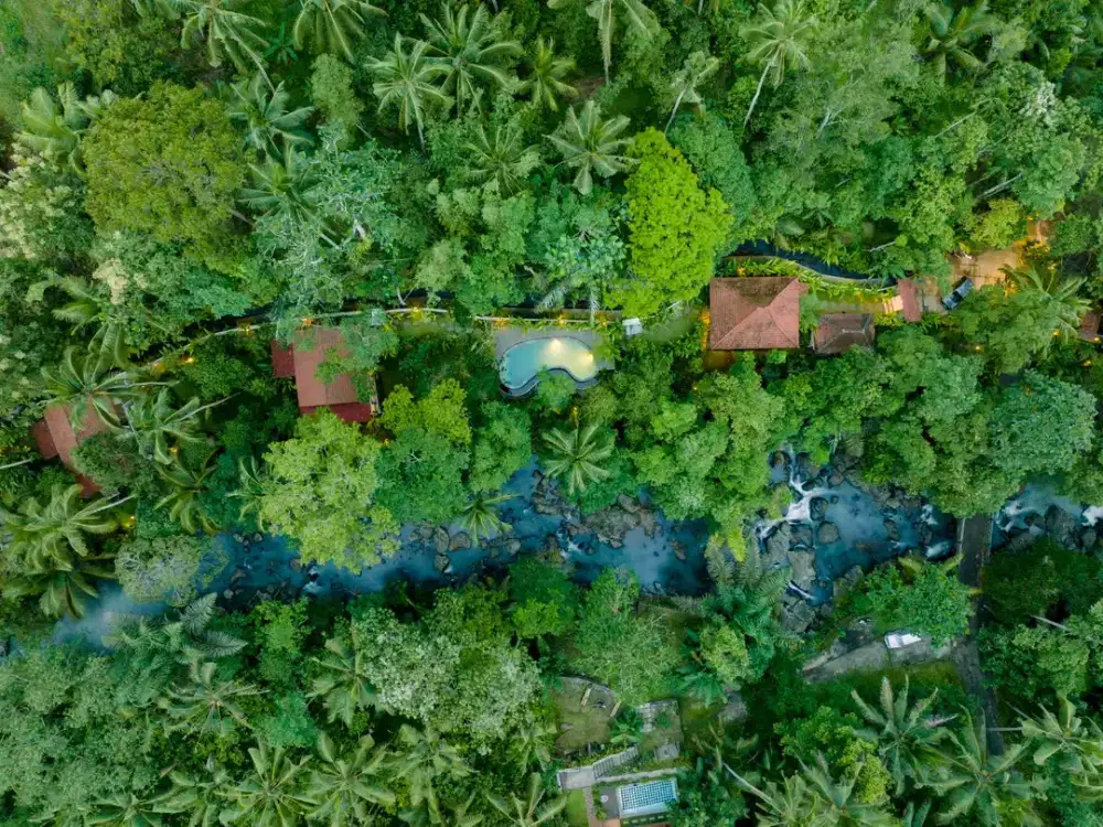 diswakan villa exotik susana alam bali harian mingguan sampai tahunan di tabanan