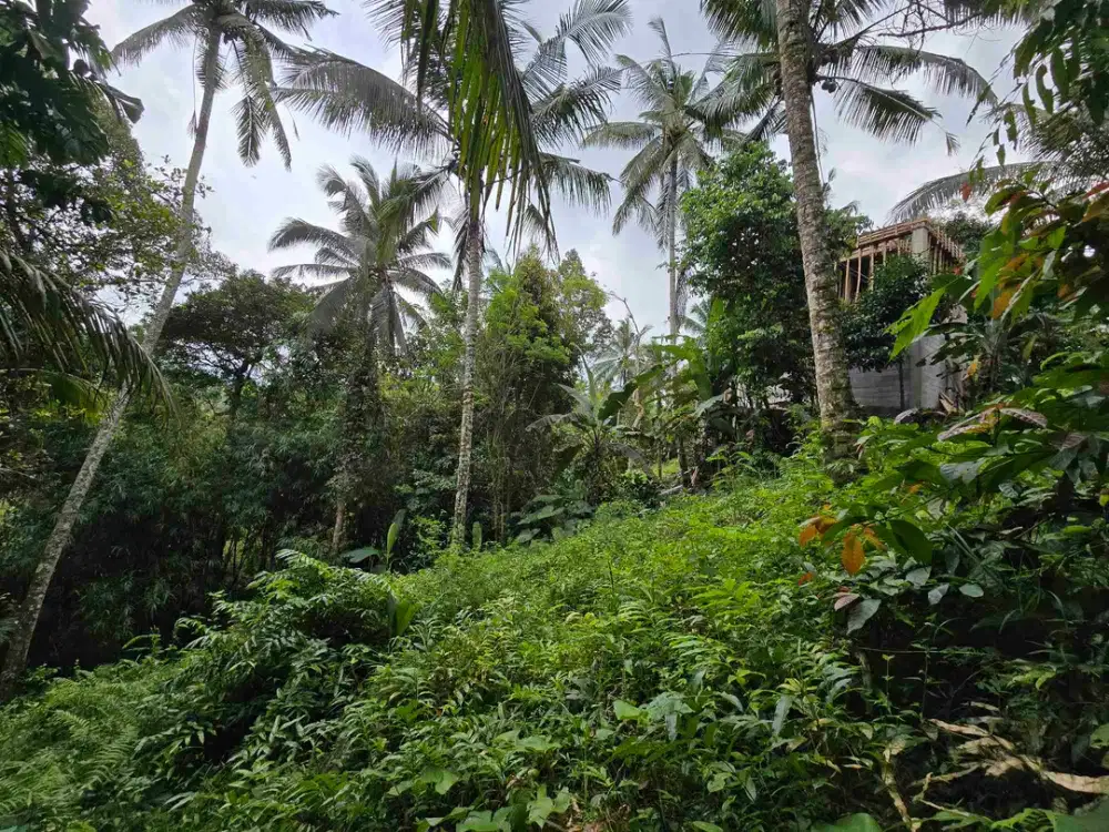 Dijual tanah los sungai bebatuan di tabanan bali