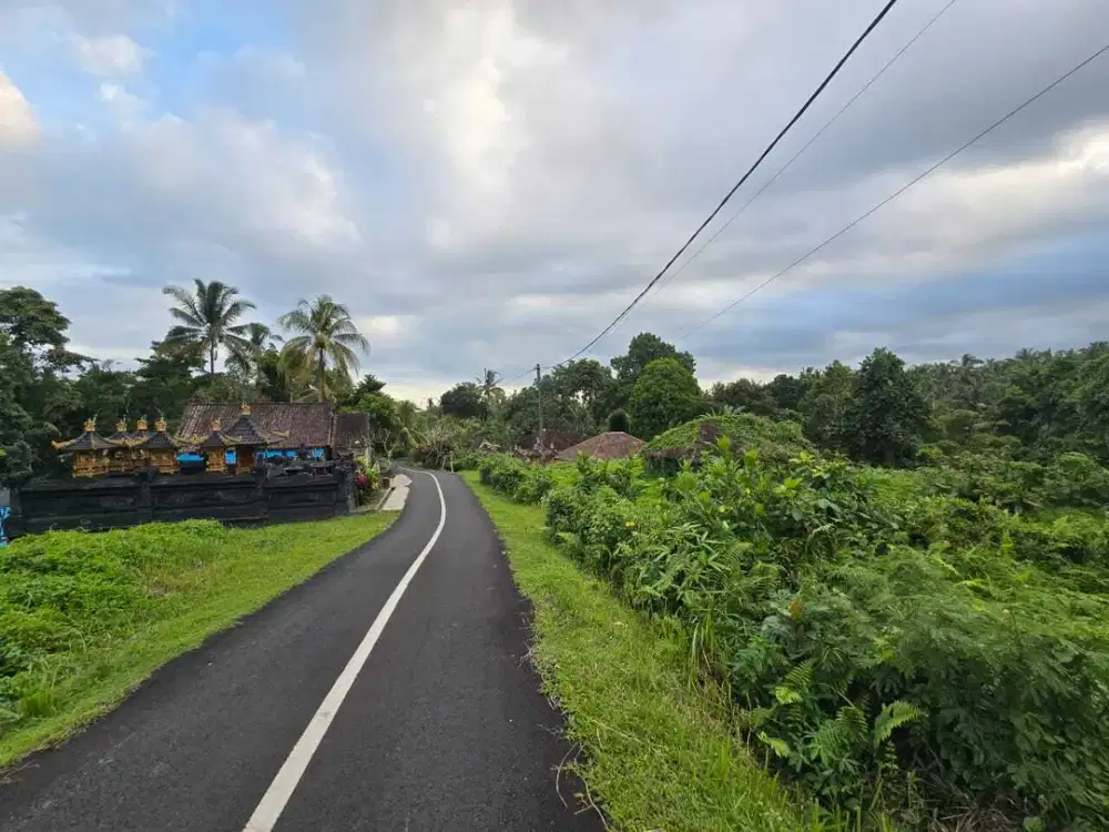 Dijual tanah dekat villa berkembang di tabanan bali