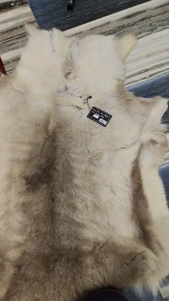 Carpet Reindeer