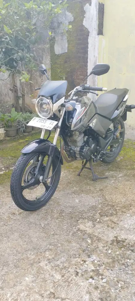 Tiger revo violet 2013