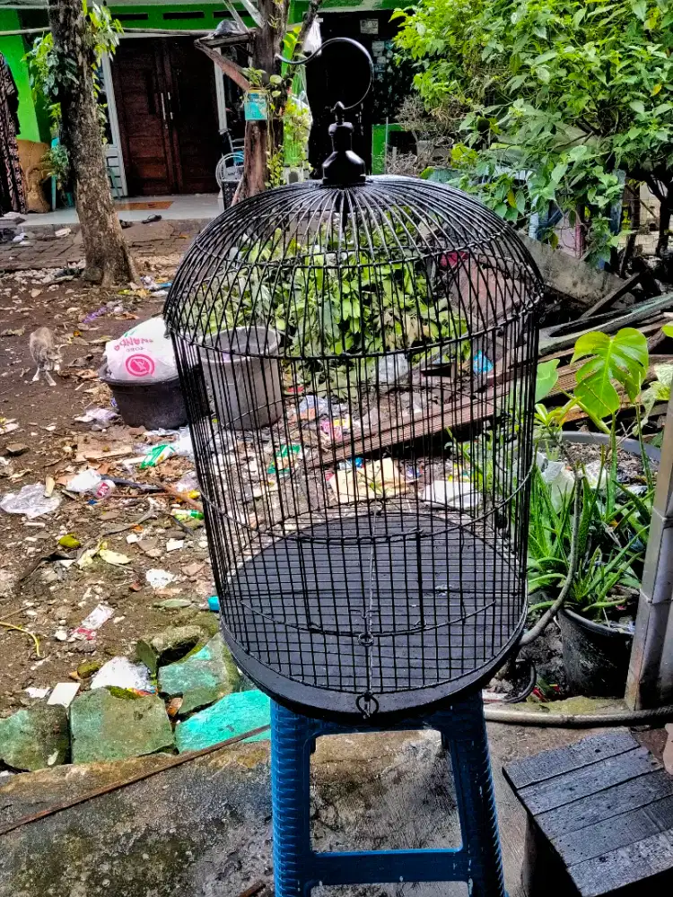Kandang sangkar jumbo besi