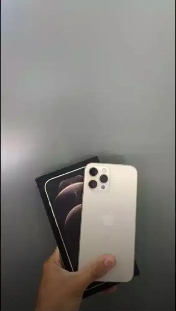Iphone 12 Promax 123 GB Inter