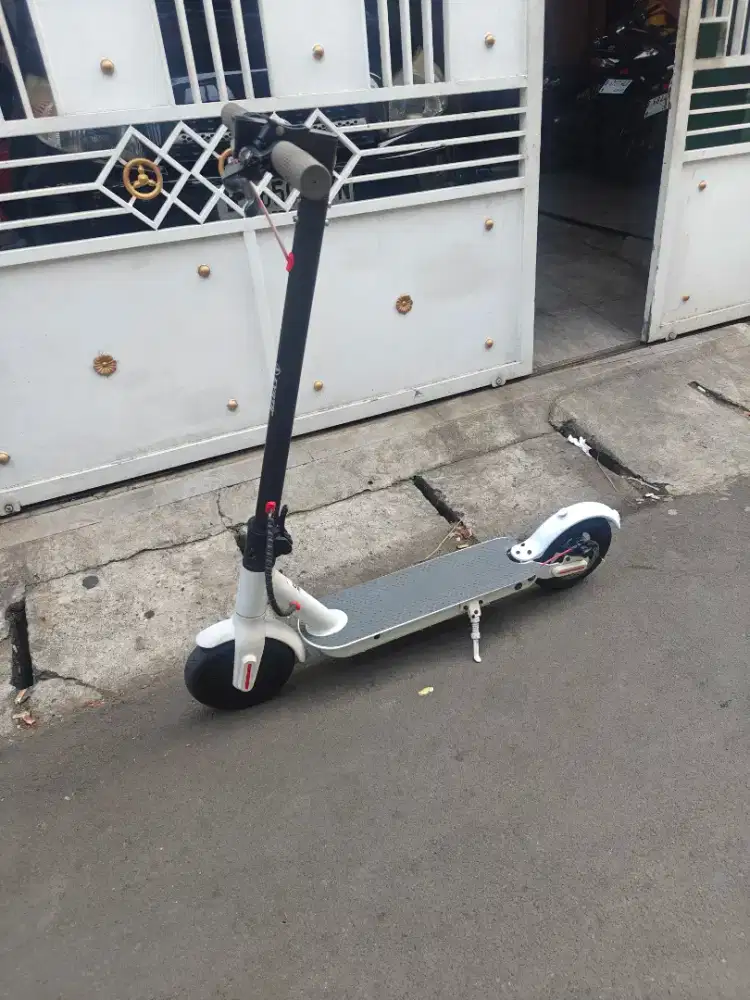 Skuter listrik exotic