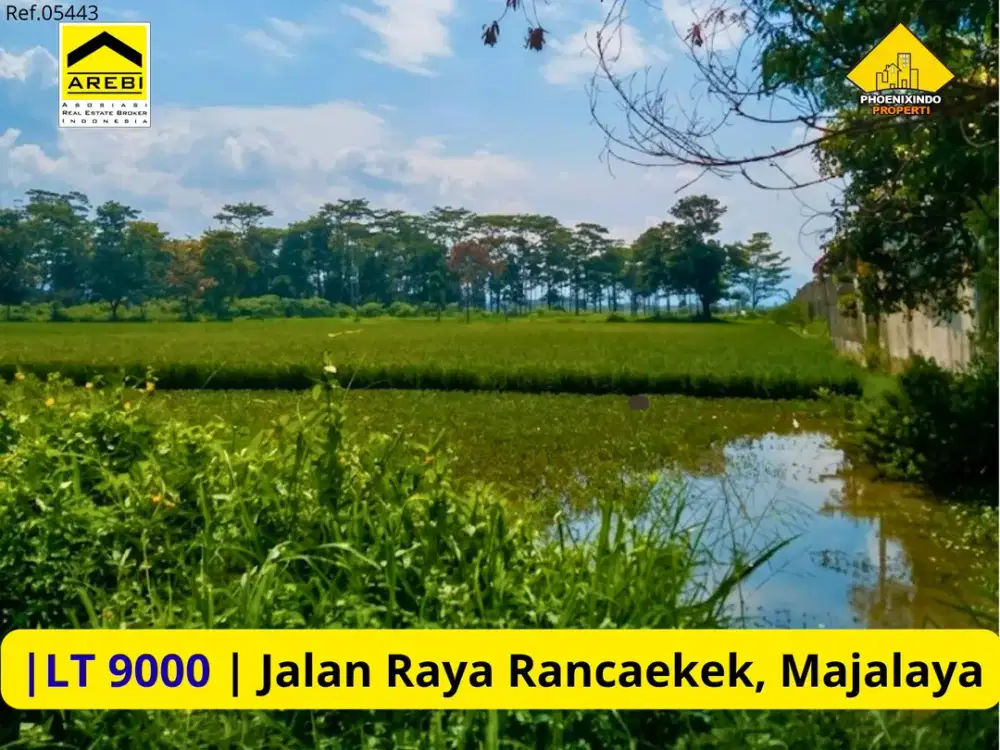Dijual Lahan Strategis 9 Hektar Main Road Rancaekek – Majalaya Cocok Industri, Gudang & Pengembangan Komersial