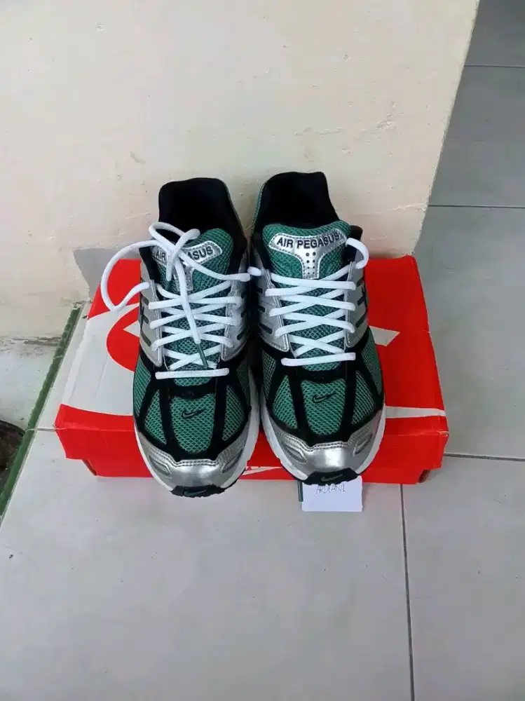 Nike Air Pegassus 2005