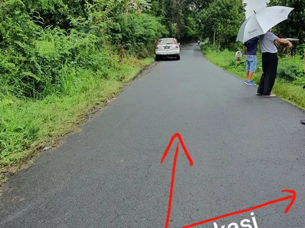 Jual TANAH 2.4 hektar di Payangan Ubud Gianyar Bali