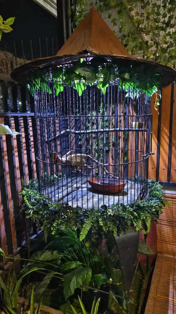 Kandang burung aviary mini exotis