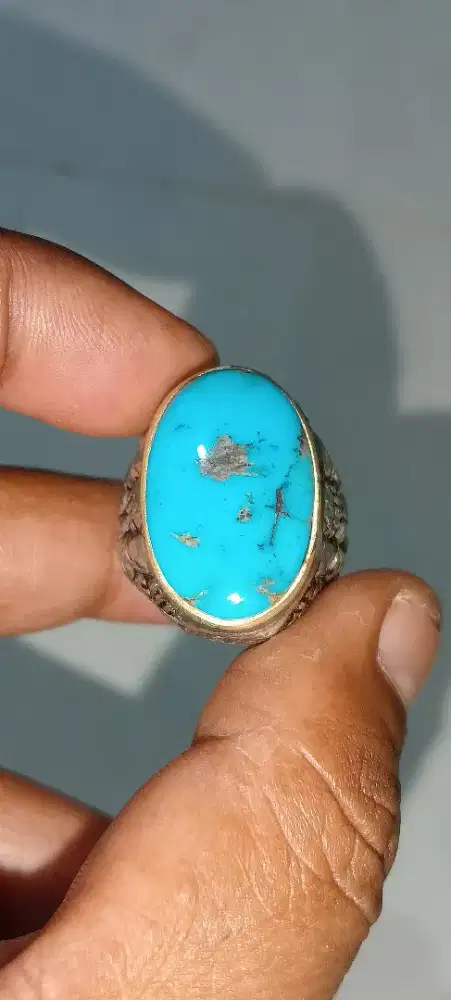 Pirus persia blue fancy