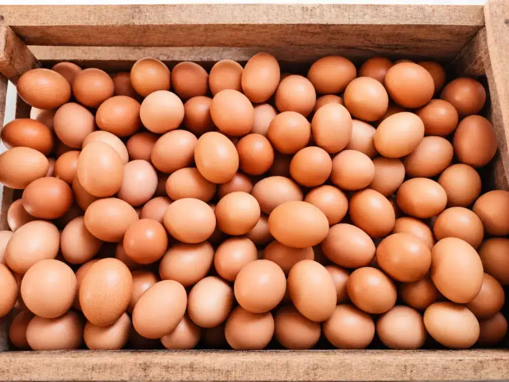 Telur omega 3 Fresh 1KG