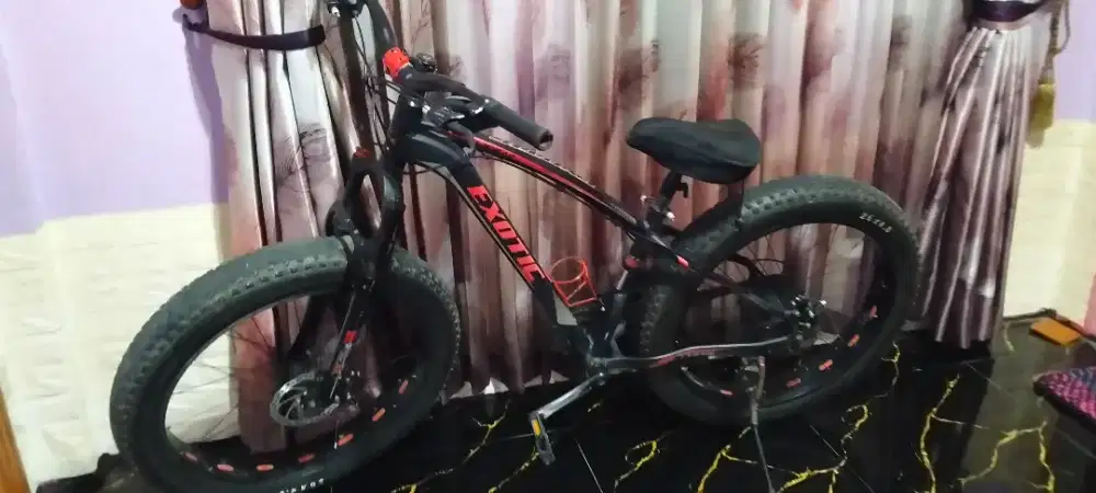 Sepeda besar exotic