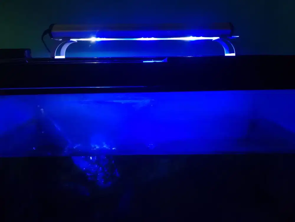 Lampu LED Aquarium Laut