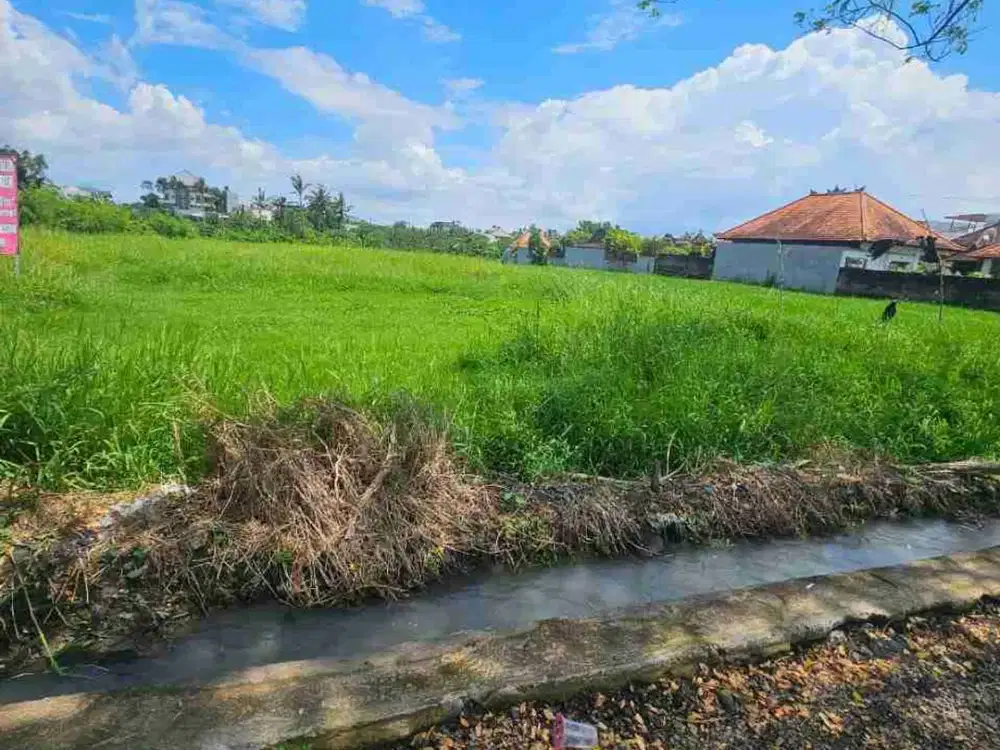 tanah premium seseh