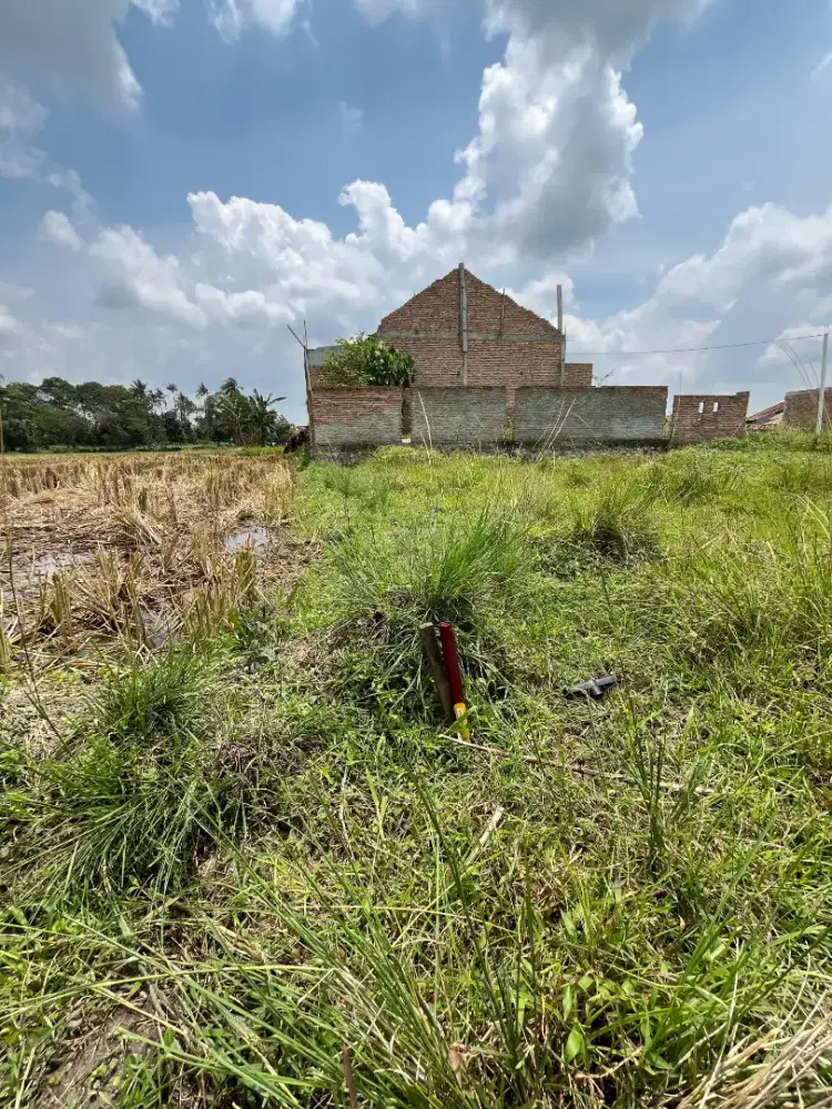 dijual tanah kosong di fajar baru lampung selatan