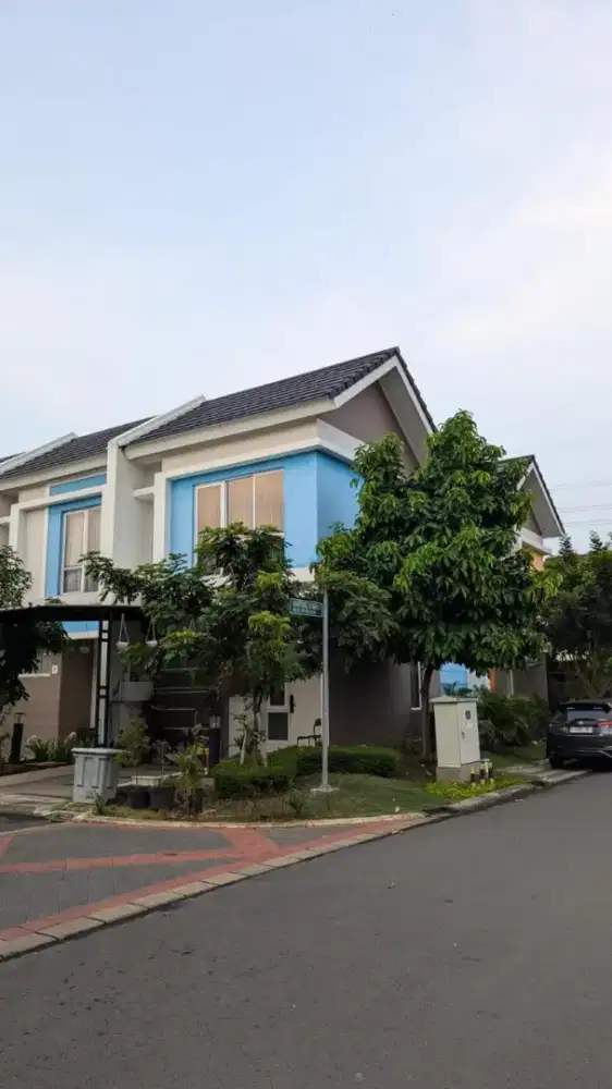 Disewa Rumah Full Furnished Free Internet Di Martinez Gading Serpong