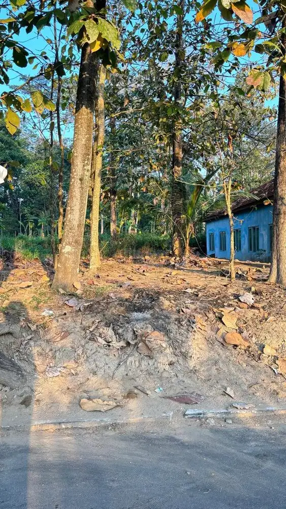 Dijual Tanah SHM Strategis di Boyolali Luas 260m²