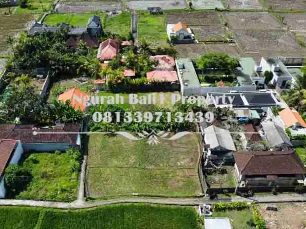 Disewakan Tanah Murah Luas 13  Are Kawasan Villa di Ubud