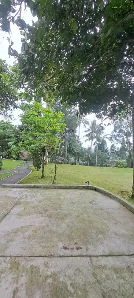 DiJual Murah Villa, Joglo, Tamansari Ciapus Bogor